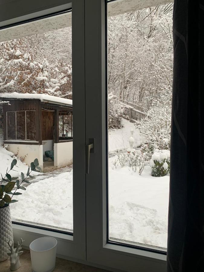 Ferienhaus Andrea Am Bodetal Treseburg エクステリア 写真