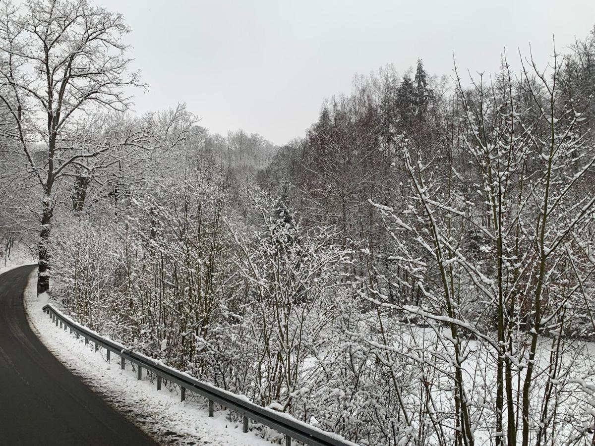 Ferienhaus Andrea Am Bodetal Treseburg エクステリア 写真