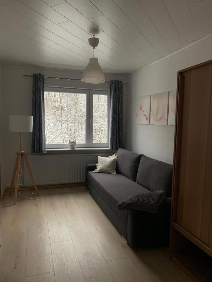 Ferienhaus Andrea Am Bodetal Treseburg エクステリア 写真