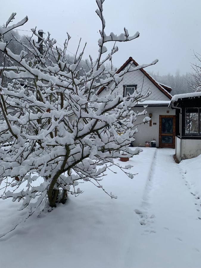 Ferienhaus Andrea Am Bodetal Treseburg エクステリア 写真