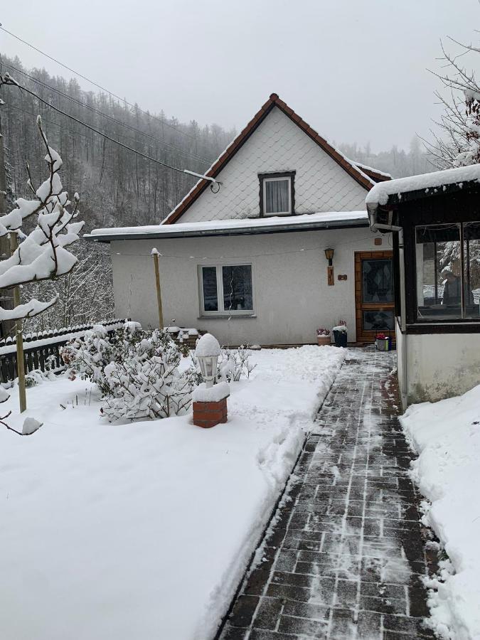 Ferienhaus Andrea Am Bodetal Treseburg エクステリア 写真
